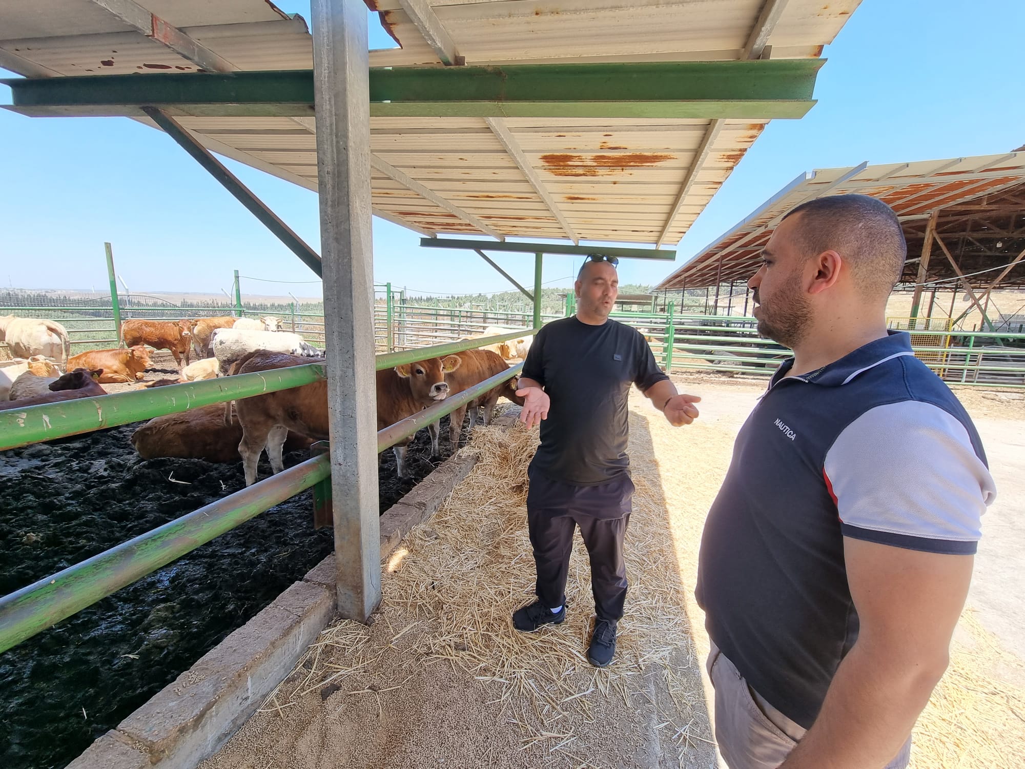 WhatsApp Image 2022-06-04 at 1.19.54 PM.jpeg